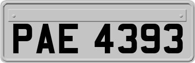 PAE4393