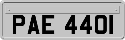 PAE4401