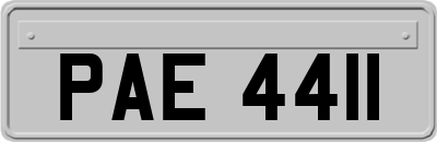 PAE4411