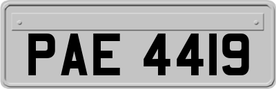PAE4419