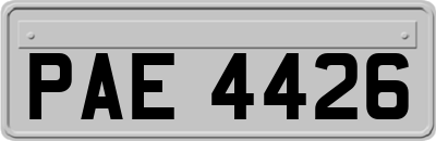 PAE4426