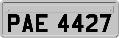 PAE4427