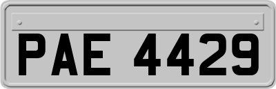 PAE4429