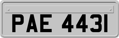 PAE4431