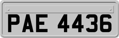 PAE4436