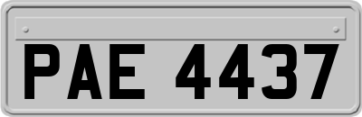 PAE4437