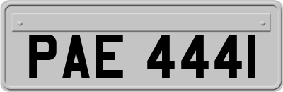 PAE4441