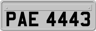 PAE4443