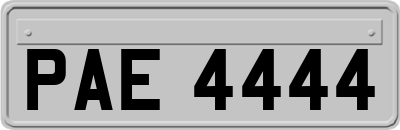 PAE4444