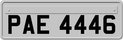 PAE4446