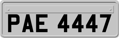 PAE4447