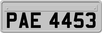 PAE4453