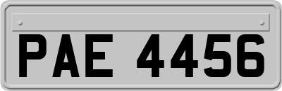 PAE4456