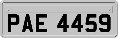 PAE4459