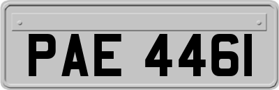 PAE4461