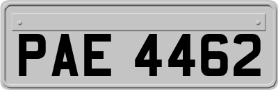 PAE4462