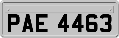 PAE4463