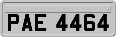 PAE4464