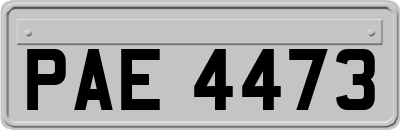 PAE4473