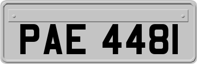 PAE4481