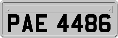 PAE4486