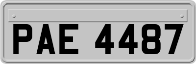 PAE4487