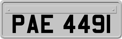 PAE4491