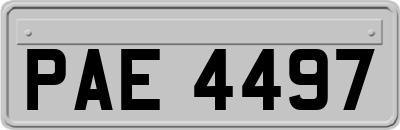PAE4497