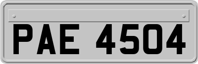 PAE4504