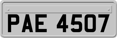 PAE4507
