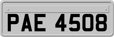 PAE4508