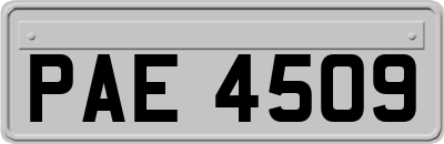 PAE4509