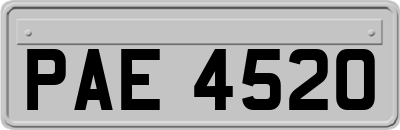 PAE4520