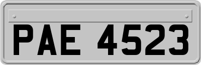 PAE4523