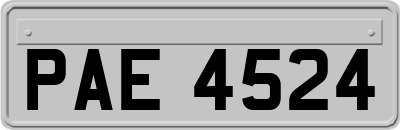 PAE4524