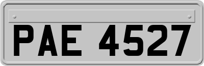 PAE4527