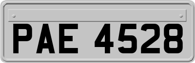 PAE4528