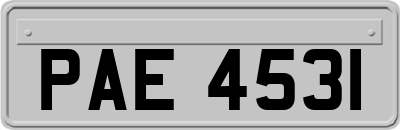 PAE4531