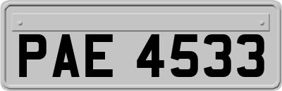 PAE4533
