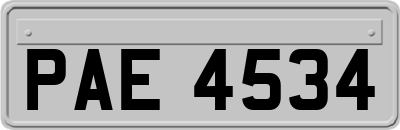 PAE4534