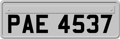 PAE4537