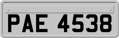 PAE4538