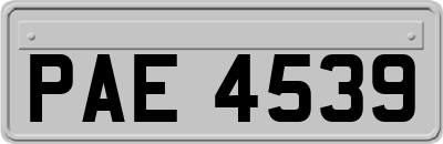 PAE4539
