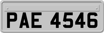 PAE4546
