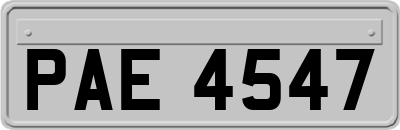 PAE4547