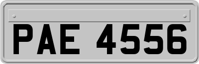PAE4556