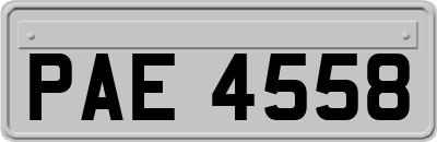 PAE4558