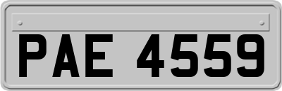 PAE4559