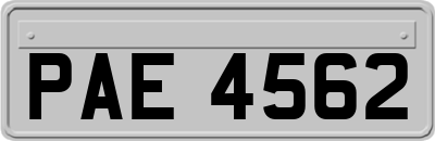 PAE4562