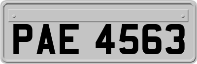 PAE4563